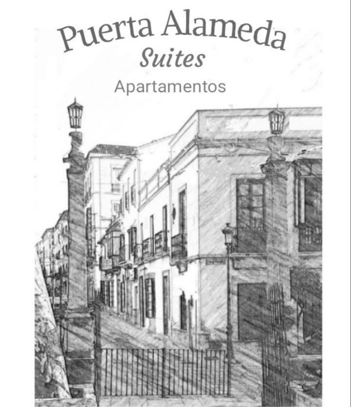 Puerta Alameda Mirador Centro Historico